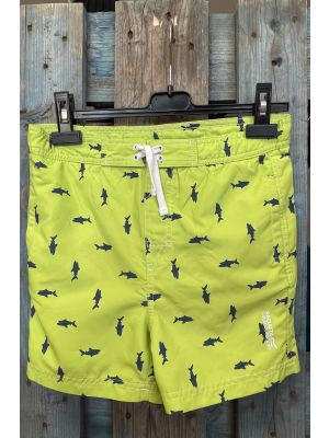Regatta Skander ll Short