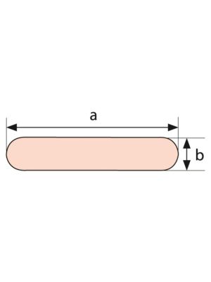 682909.jpg